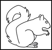 Leave spaces for the legs. How To Draw Squirrels Drawing Tutorials Drawing How To Draw Squirrels Farm Animals Drawing Lessons Step By Step Techniques For Cartoons Illustrations Sketching
