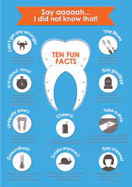 It is extremely important to start practicing healthy dental habits at a young age as they can save you valuable time, money and energy in the future. 10 Fun Facts About Your Teeth Infographic Encore Dental