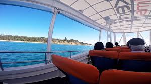 See 280 reviews, articles, and 176 photos of moonraker dolphin swims, ranked no.5 on tripadvisor among 8 attractions in sorrento. Sorrento Moonraker Dolphin Seal Adventure Cruise Youtube