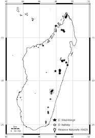 Image result for Hilsenbergia