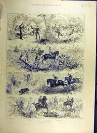 Antique Print 1884 Pig-Sticking India ...