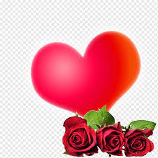 Some folks believe that putting rose water on the skin helps control conditions like oiliness and dry skin. Rose Flower High Definition Video 1080p Love Aestheticism Material White Heart Desktop Wallpaper Png Pngwing