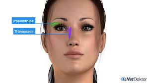 Trockene Augen Ursachen Tipps Und Hilfe Netdoktor