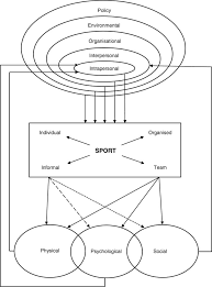 [1 january 1998, p.u.(b) 9/1998; A Systematic Review Of The Psychological And Social Benefits Of Participation In Sport For Children And Adolescents Informing Development Of A Conceptual Model Of Health Through Sport International Journal Of Behavioral