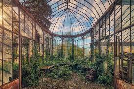 Maybe you would like to learn more about one of these? Greenhouse Limited Edition Of 10 Photography By Matthias Haker Saatchi Art