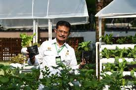 113,944 likes · 2,207 talking about this. Kementerian Pertanian Profil Menteri Pertanian