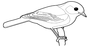 Sebuah lukisan biasanya didasarkan pada corak, gaya, teknik, bahan, dan alat karya. Gambar Lukisan Burung Hitam Putih Cikimm Com