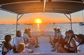 Image result for Faroa duvigneaud