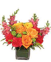 The nose behind this fragrance is olivier gillotin. Best Selling Flowers Bloomingdale Ga Always Forever Flowers