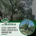 Full-Service Tree Company #experttreecare #treecare ...
