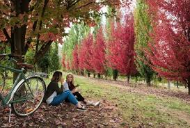 Australia's seasons - Tourism Australia