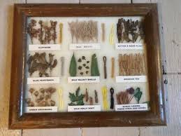 Navajo Rug Weavers Dye Chart Framed W Dried Plants Dyed Wool