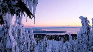 They are more focused on the child and the activity they are taking part in and are often run as a course, which will be paid for in advance. The 10 Best Things To Do During Winter In Vancouver 2019 20 Snowpak