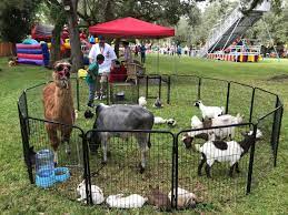 Birthday parties, church events, fund raisers. Ponies Petting Zoo Of Miami Pony Rides Petting Zoo