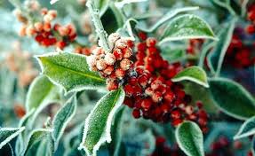 Balkonmarkisen Als Wetter Und Sichtschutz 45 Ideen In 2020 Markise Balkon Sichtschutz