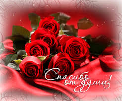 ХОЧУ ВЫРАЗИТЬ ОГРОМНУЮ БЛАГОДАРНОСТЬ НАШЕМУ ВОДИТЕЛЮ ГАЗЕЛИ ...