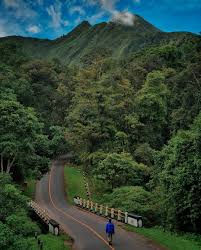 A Day Trip to Sembalun, Lombok