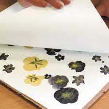Start by trimming your flowers down to the heads, removing as much of the stem as possible. Pressing Flowers Finegardening