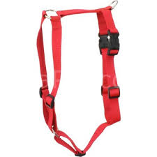Doggie Ayarli Kopek Bel Tasmasi 45cm Small Fiyati