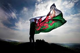 Image result for welsh dragon flag