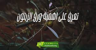 تعرف على اهمية ورق الزيتون Movie Posters Movies Poster