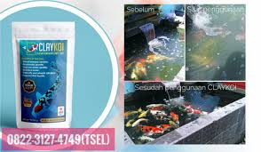 Obat Penjernih Kolam Koi Claykoi Konawe Kepulauan Obat Penjernih Kolam Ikan Koi Claykoi Konawe Utara Media Penjernih Air Kolam Di 2020 Kolam Ikan Kolam Penjernihan Air
