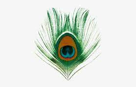 1,363 transparent png illustrations and cipart matching peacock feather. Feather Peacock Png Peacock Feather Images Png Png Image Transparent Png Free Download On Seekpng
