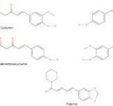 A validated HPLC-MS/MS method for simultaneously analyzing ...