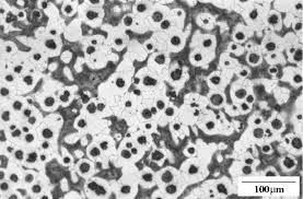 Image result for bulat steel micrograph