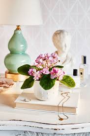 It is two feet tall and doing. 6 Flowering House Plants To Bring Color Indoors Southern Living