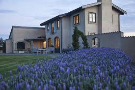 Gallery Lavender Hill Waiheke Island Places To Get Married Dream Wedding Venues