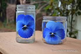 Get multiple quotes within 24 hours! How To Paint Pansies On Glass Pamela Groppe Art