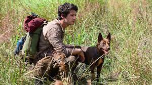 We have a huge free dvd selection that you can download or stream. Love And Monsters 2021 Deutsch Hd 1080p Stream Online Anschauen Streamdream