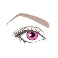 4.5 out of 5 stars 869. The Best False Eyelashes For Each Eye Shape Hqhair Blog