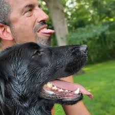 Harry Lerner's Instagram, Twitter & Facebook