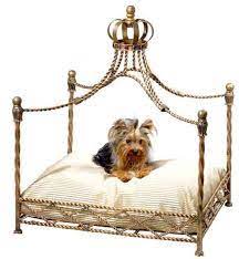 Dog Beds - Blog