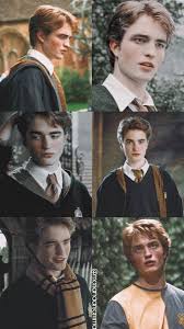 A place for fans of cedric diggory to view, download, share, and discuss their favorite images, icons, photos and wallpapers. Cedric Diggory Harry Potter Characters Harry Potter Pictures Harry Potter Images