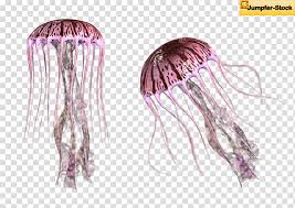 Giant Jellyfish Two Purple Jellyfish Transparent Background Png Clipart Hiclipart Cliparts, stamps, and stickers with our free photo editor to create unique moon transparent background images, original icons and custom moon transparent background pictures and display your artistic talents. giant jellyfish two purple jellyfish