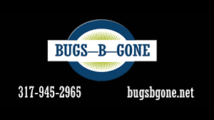 Pests, insects, and moles can not only damage your property, they can migrate into your home. Bugs B Gone Home Facebook