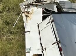 Chaos on I-59 Tulane Lab Monkeys Escape After Truck Crash