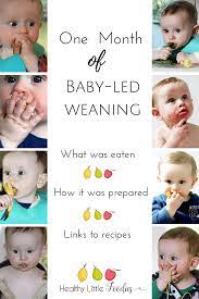 Here are some signs that your baby may be ready: Baby Led Weaning Blw Food Inspiration For The First Month