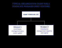 Joint Ventures Co Investments Typical Structures
