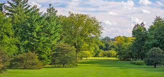 2022 Perennial Report