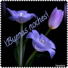Pin De Amavalcarcechavez En Frases Buenas Noches Con Flores Gifs De Buenas Noches Postales De Buenas Noches