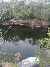 A hozzánk beérkező kifizetések hatása a megjelenített, ár szerinti sorrendre. Photo2 Jpg Picture Of Dagny Johnson Key Largo Hammock Botanical State Park Tripadvisor