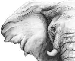 Black And White Elephant Pictures Elephant Charcoal Drawing Giclee Print Elephant Decor Etsy Elephant Sketch Elephant Drawing Elephant Art
