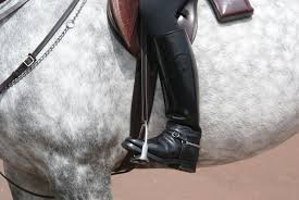 Top brands and top products chosen by equestrians just like you. 5 Comfy Tall Riding Boots That Feel As Good As They Look