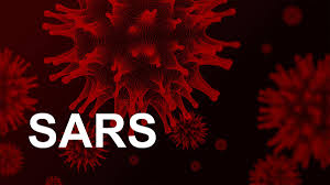 Explore literature, identify clinical trials, and compounds used in them. Freightwaves Flashback 2003 Unknown Impact Of Sars Freightwaves
