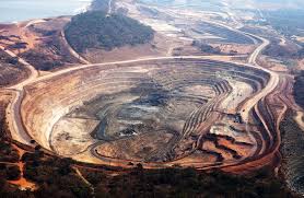 Image result for Mondia ecornuta