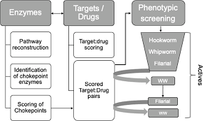 identification of small molecule enzyme inhibitors as broad